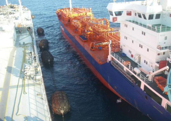 Het Pneumatische Yokohama Rubber Verklaarde Stootkussen Nylon ISO9001 van anticollission