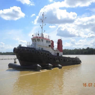 Rubberluchtkussens van het boot de Opheffende Schip voor Scheepswerf